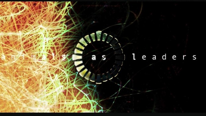 你们学校的校花都是怎么样的?